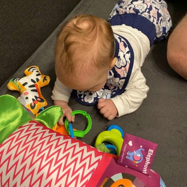 99e4a3853e931ca78bc785abce5d3657